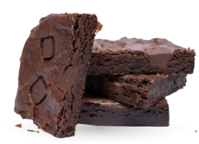 belgian-choc-brownie